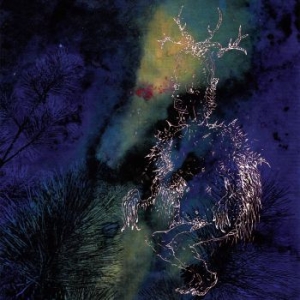 Bardo Pond - Under The Pines ryhmässä CD @ Bengans Skivbutik AB (3842298)