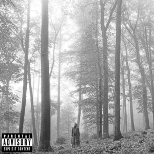 Taylor Swift - Folklore ryhmässä ME SUOSITTELEMME / Årsbästalistor 2020 / NME 2020 @ Bengans Skivbutik AB (3842674)