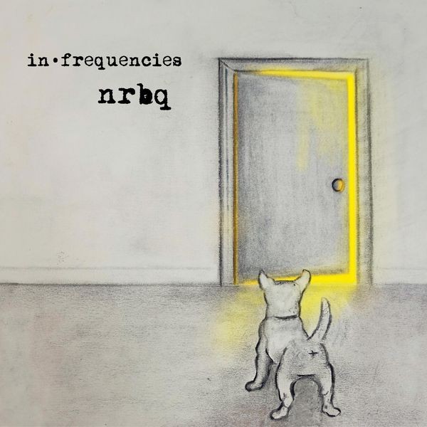 NRBQ - In Frequencies ryhmässä VINYYLI / Rock @ Bengans Skivbutik AB (3844407)