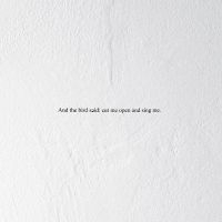 Prairie - And The Bird Said: Cut Me Open And ryhmässä VINYYLI @ Bengans Skivbutik AB (3846184)