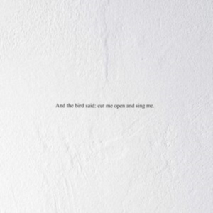 Prairie - And The Bird Said: Cut Me Open And ryhmässä VINYYLI @ Bengans Skivbutik AB (3846185)