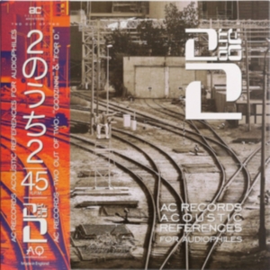 CZERWINSKIADAM KRZESIMIR DEBSKI WOJCI - Two Out Of Two: Acoustic References For  ryhmässä VINYYLI @ Bengans Skivbutik AB (3846338)