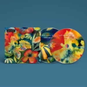 Lenker Adrianne - Songs And Instrumentals ryhmässä CD @ Bengans Skivbutik AB (3860757)