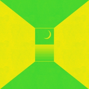 Ceremony - In The Spirit World Now (Synthetic ryhmässä VINYYLI @ Bengans Skivbutik AB (3865963)