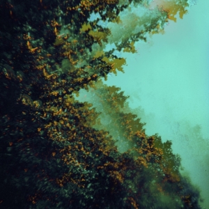 Polymoon - Caterpillars Of Creation ryhmässä CD @ Bengans Skivbutik AB (3866651)