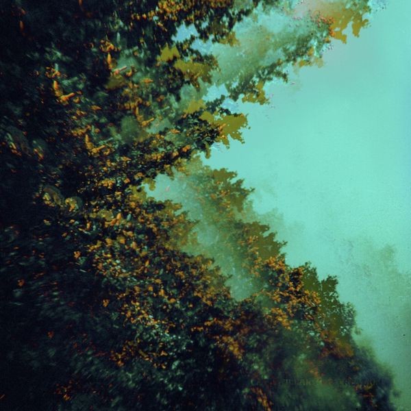 Polymoon - Caterpillars Of Creation ryhmässä CD / Pop @ Bengans Skivbutik AB (3866651)