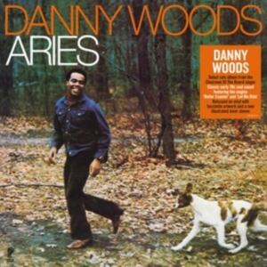Woods Danny - Airies (140G Black Vinyl) ryhmässä VINYYLI @ Bengans Skivbutik AB (3894438)