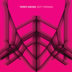 Gross Terry - Soft Opening ryhmässä VINYYLI @ Bengans Skivbutik AB (3902049)