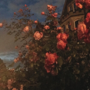 Bence John - Love (Blood Orange Vinyl) ryhmässä VINYYLI @ Bengans Skivbutik AB (3902050)