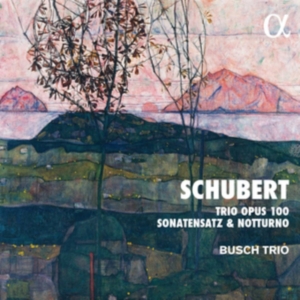 Schubert Franz - Trio, Op. 100 Sonatensatz Notturn ryhmässä CD @ Bengans Skivbutik AB (3903495)