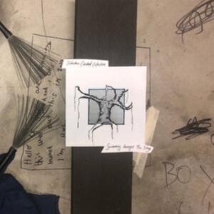 Suburban Cracked Collective - Swimming Amongst The Dregs ryhmässä VINYYLI @ Bengans Skivbutik AB (3905164)