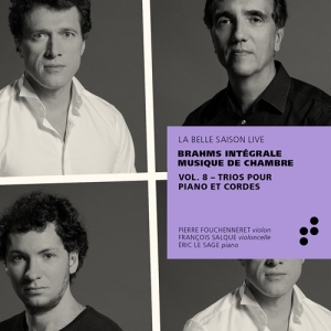 Brahms Johannes - Intégrale Musique De Chambre, Vol. ryhmässä CD @ Bengans Skivbutik AB (3907435)