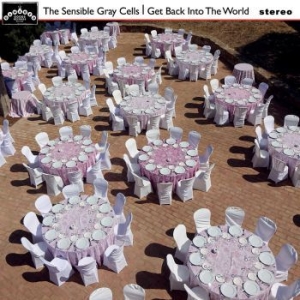 Sensible Grey Cells The - Get Back Into The World (Vinyl Lp) ryhmässä VINYYLI @ Bengans Skivbutik AB (3912969)