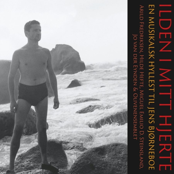 Various Artists - Illden I Mitt Hjerte ryhmässä CD / Myydyimmät @ Bengans Skivbutik AB (3913721)