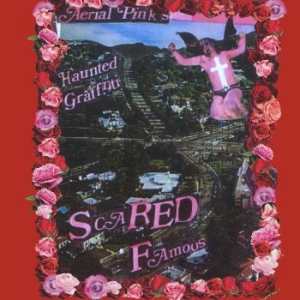Ariel Pink - Scared Famous/Ff>> ryhmässä -Start HK @ Bengans Skivbutik AB (3917783)