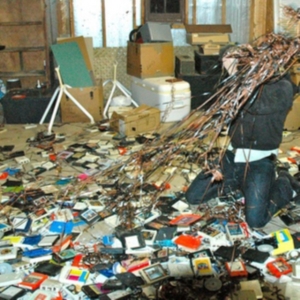 Golden Gurls - Typo Magic ryhmässä CD @ Bengans Skivbutik AB (3917808)