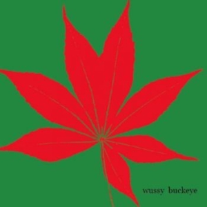Wussy - Buckeye ryhmässä CD @ Bengans Skivbutik AB (3917820)