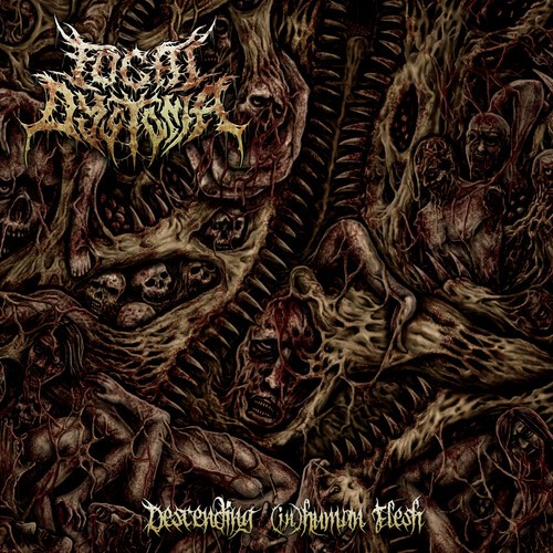 Focal Dystonia - Descending (In)Human Flesh ryhmässä CD / Myydyimmät @ Bengans Skivbutik AB (3919505)