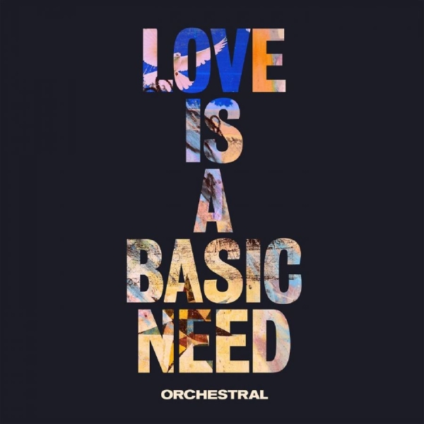 Embrace - Love Is A Basic Need (Orchestral) ryhmässä VINYYLI / Myydyimmät @ Bengans Skivbutik AB (3923494)