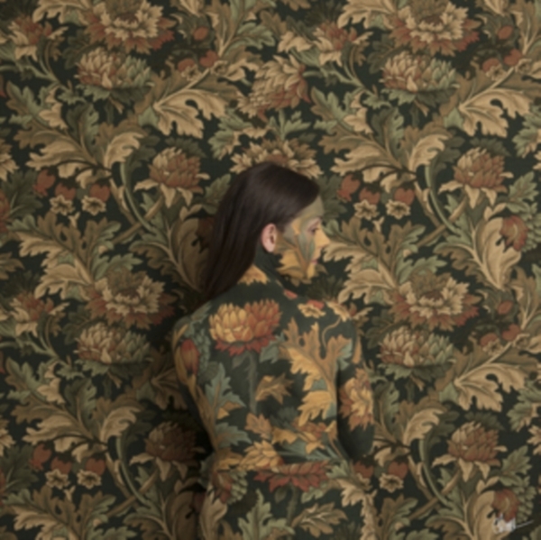 Honeyblood - In Plain Sight -Digi- ryhmässä CD / Myydyimmät @ Bengans Skivbutik AB (3925334)