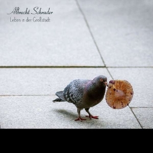 Albrecht Schrader - Leben In Der Grossstadt ryhmässä VINYYLI @ Bengans Skivbutik AB (3925815)