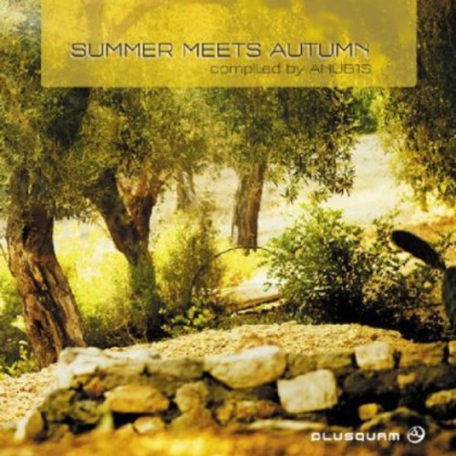 V/A - Summer Meets Autumn ryhmässä CD / Dans/Techno @ Bengans Skivbutik AB (3926988)