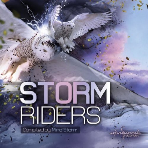 V/A - Storm Riders ryhmässä CD / Dans/Techno @ Bengans Skivbutik AB (3927165)