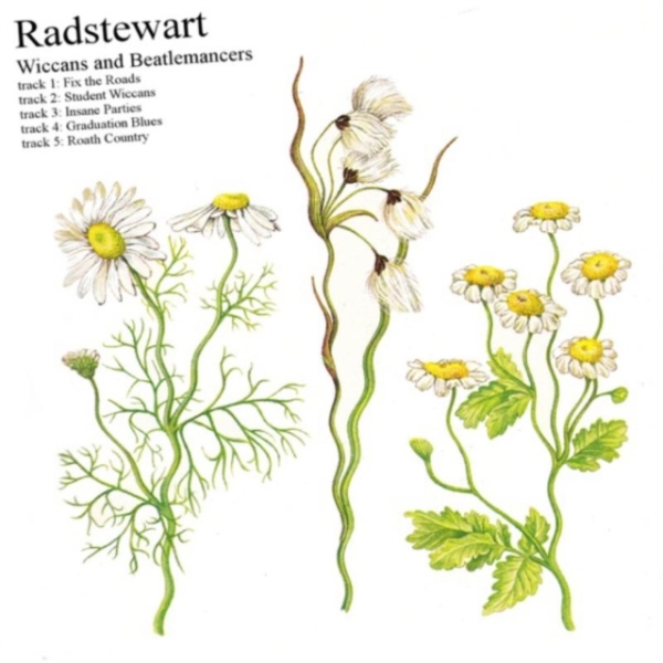 Radstewart - Wiccans & Beatlemancers.. ryhmässä CD / Myydyimmät @ Bengans Skivbutik AB (3927892)