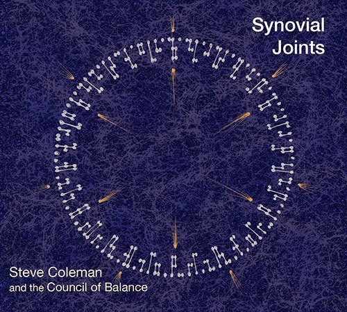 Coleman Steve & The Council Of Balance's - Synovial Joints ryhmässä CD / Jazz/Blues @ Bengans Skivbutik AB (3928940)