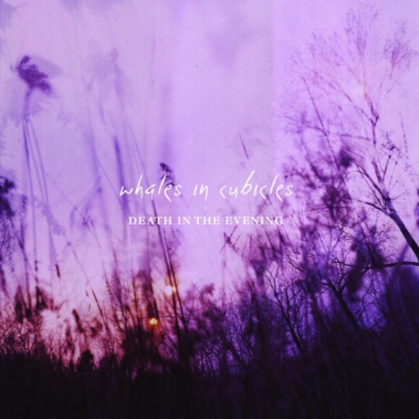 Whales In Cubicles - Death In The Evening ryhmässä VINYYLI / Myydyimmät @ Bengans Skivbutik AB (3930330)
