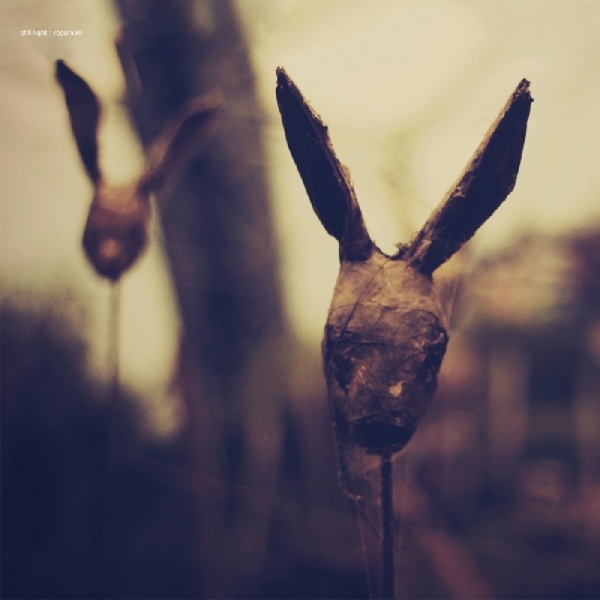 Still Light - Rosarium ryhmässä CD / Rock @ Bengans Skivbutik AB (3931719)