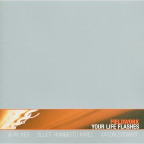 Fieldwork - Your Life Flashes ryhmässä CD / Jazz/Blues @ Bengans Skivbutik AB (3932238)