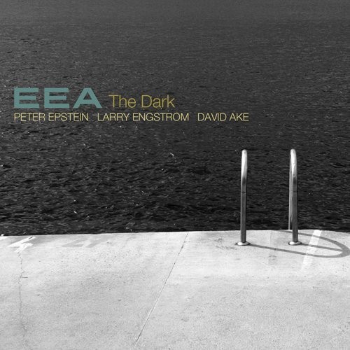Eea - Dark ryhmässä CD / Jazz/Blues @ Bengans Skivbutik AB (3933862)