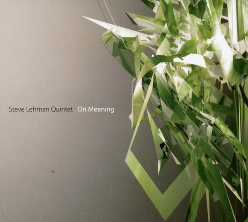 Lehman Steve - On Meaning ryhmässä CD / Jazz/Blues @ Bengans Skivbutik AB (3935370)
