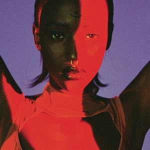 Lous And The Yakuza - Gore ryhmässä VINYYLI @ Bengans Skivbutik AB (3935726)