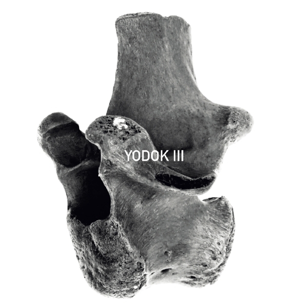 Yodok III - Yodok III ryhmässä CD / Pop @ Bengans Skivbutik AB (3936723)