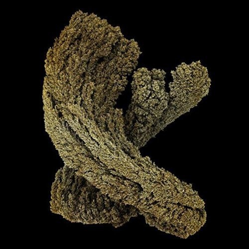 Max Cooper - Emergence -Digi- ryhmässä CD / Dans/Techno @ Bengans Skivbutik AB (3936850)