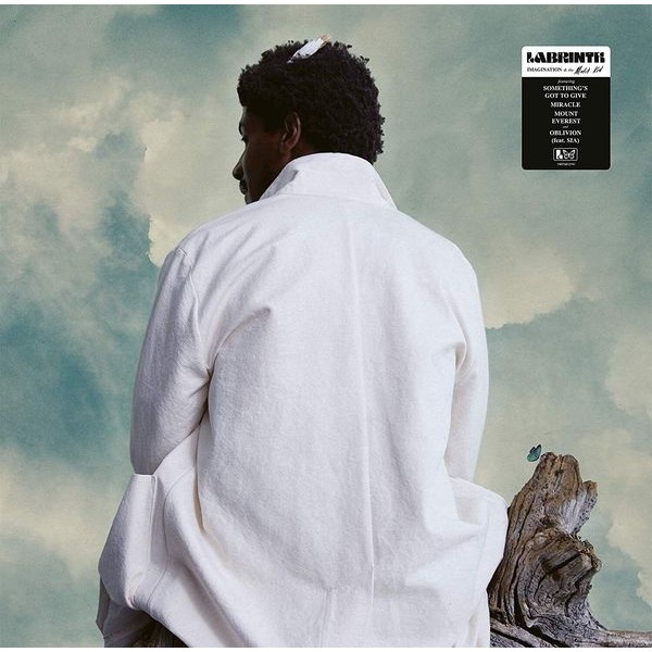 Labrinth - Imagination & The Misfit Kid ryhmässä VINYYLI / Pop @ Bengans Skivbutik AB (3942683)