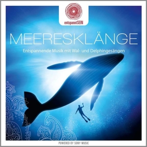 Jones Davy - Entspanntsein - Meeresklänge (Entspannende Musik Mit Wal- Und Delphingesängen) ryhmässä CD @ Bengans Skivbutik AB (3950957)
