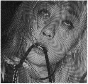 Evicshen - Hair Birth ryhmässä VINYYLI @ Bengans Skivbutik AB (3951151)