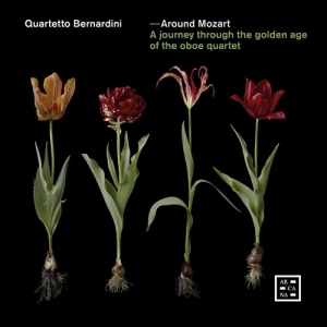 Various - Around Mozart - A Journey Through T ryhmässä CD @ Bengans Skivbutik AB (3957432)