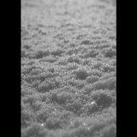 Paysage D'hiver - Schnee (A5 Digibook) ryhmässä CD @ Bengans Skivbutik AB (3961444)