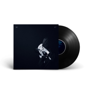 Anna B Savage - A Common Turn ryhmässä VINYYLI @ Bengans Skivbutik AB (3964999)