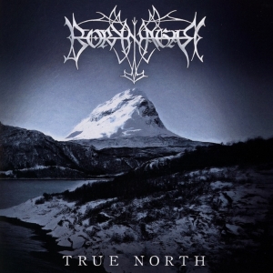 Borknagar - True North ryhmässä CD @ Bengans Skivbutik AB (3968360)