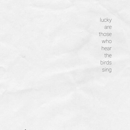 Various Artists - Lucky Are Those Who Hear The Birds ryhmässä VINYYLI / Dans/Techno @ Bengans Skivbutik AB (3969802)