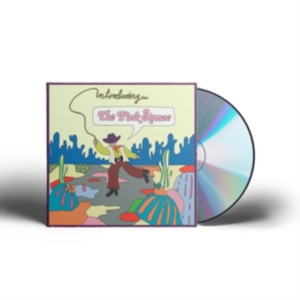 Pink Stones The - Introducing...The Pink Stones ryhmässä CD @ Bengans Skivbutik AB (3969921)