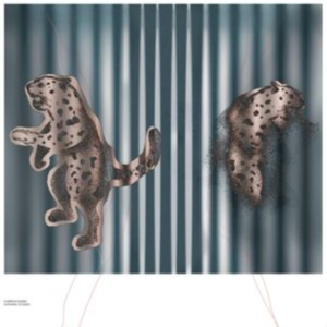 Saniee Kamron - Euphoric Studies ryhmässä VINYYLI @ Bengans Skivbutik AB (3971714)