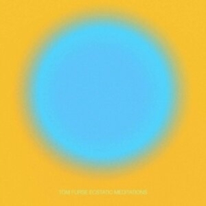 Furse Tom - Ecstatic Meditations ryhmässä VINYYLI @ Bengans Skivbutik AB (3971729)