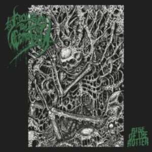 House By The Cemetary - Rise Of The Rotten ryhmässä CD @ Bengans Skivbutik AB (3976129)