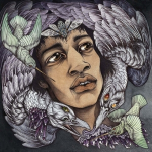 Various Artists - Best Of James Marshall Hendrix (Red ryhmässä CD @ Bengans Skivbutik AB (3976390)